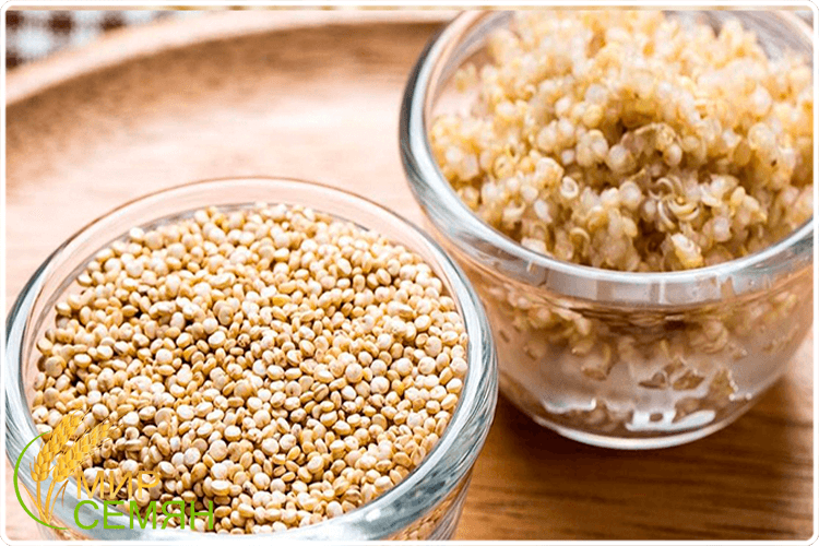 что делаю из киноа