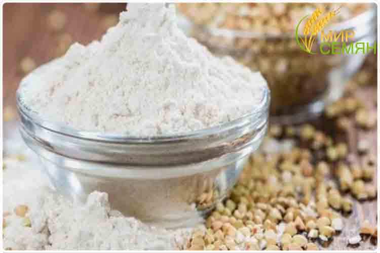 мука из зеленой гречки